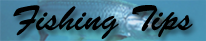 Florida Shore Fishing Tips