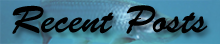 Florida Shore Fishing Recent Posts