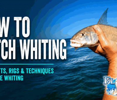 How to Catch Whiting in Florida