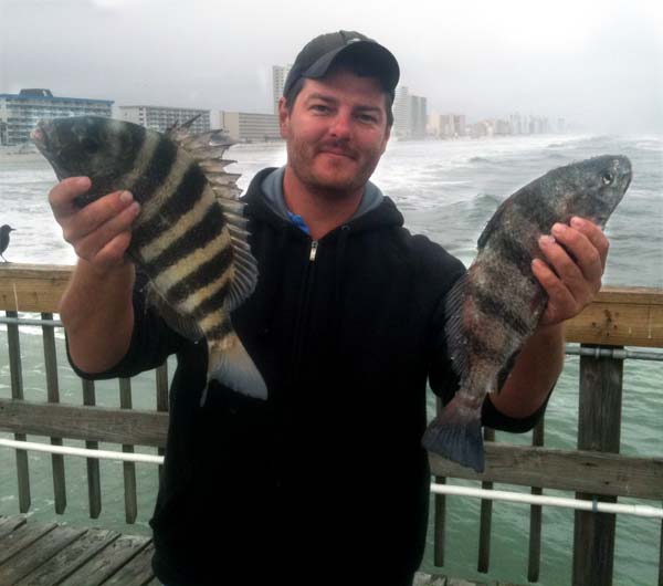 Cool Water Pier Fishing  Fishing from Florida Shores