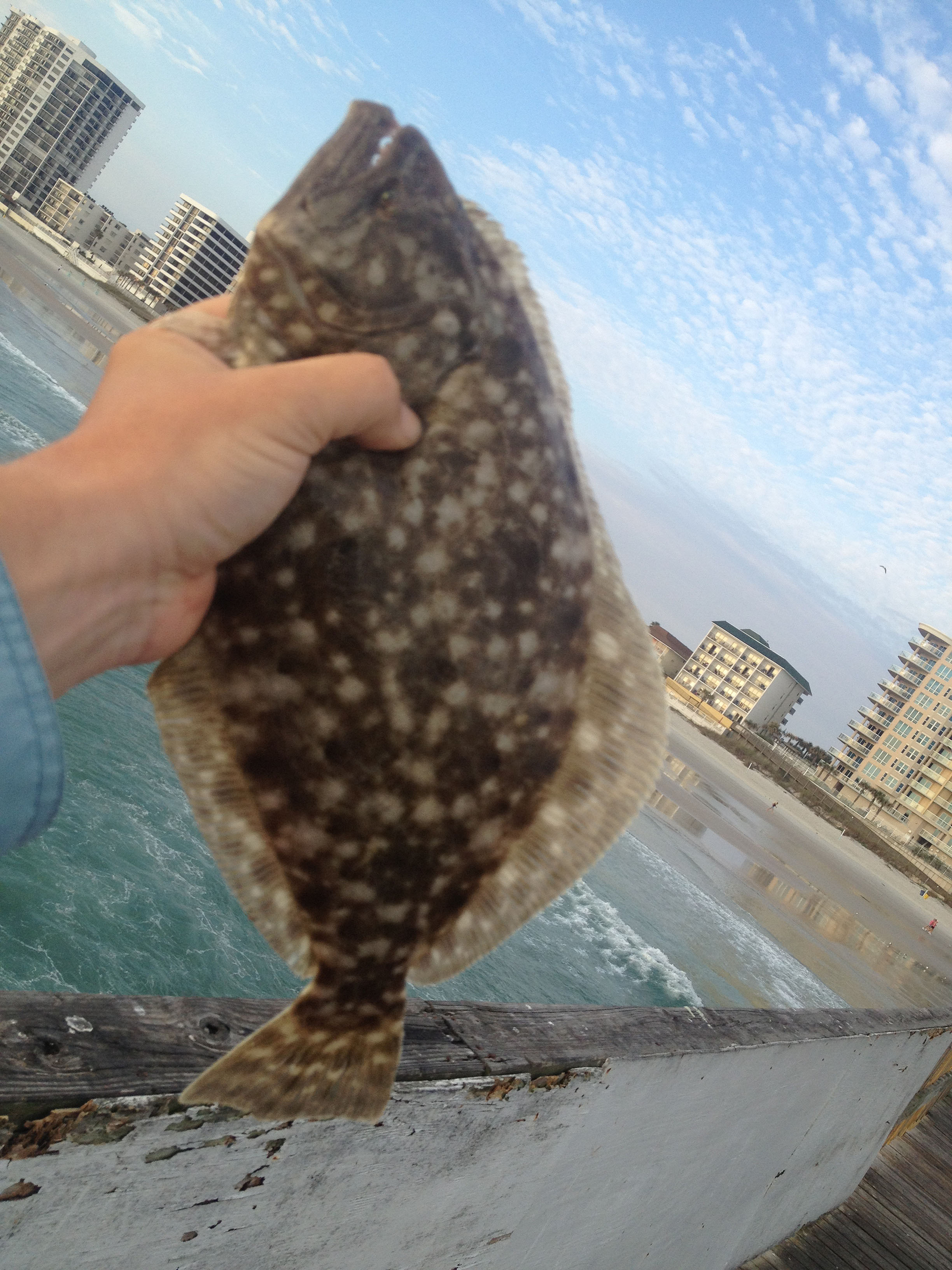 How to Catch Flounder | Fishing from Florida Shores