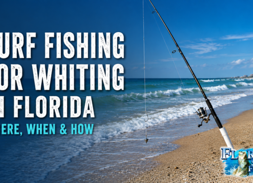 Surf Fishing for Whiting