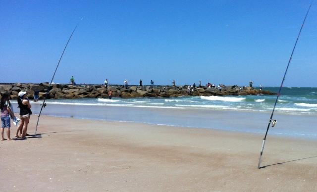 Basic Surf Fishing Equipment for Beginners - The Beach Angler