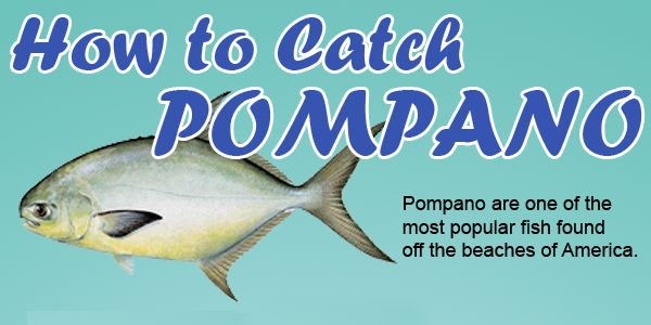 How to Catch Pompano  Fishing from Florida Shores