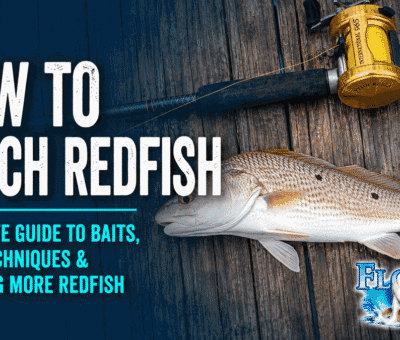 How to Catch Redfishf from Florida Shores