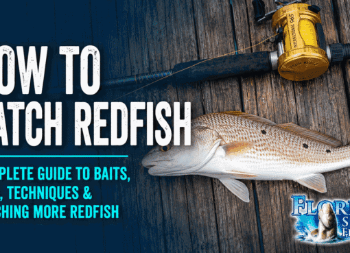 How to Catch Redfishf from Florida Shores
