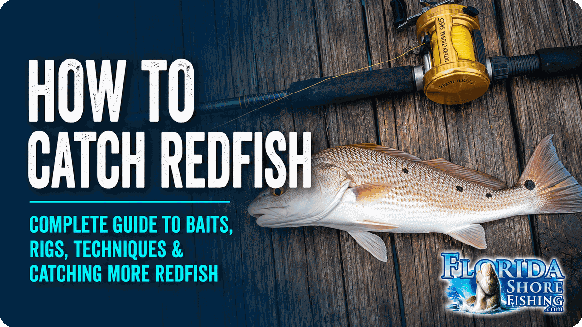 How to Catch Redfishf from Florida Shores