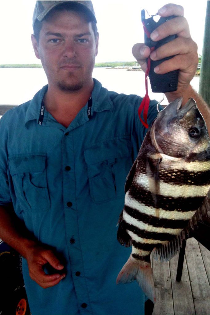 Fishing for Sheepshead How to Catch Sheepshead Fishing from Florida