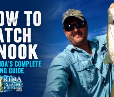 How to Catch Snook from Florida Shores