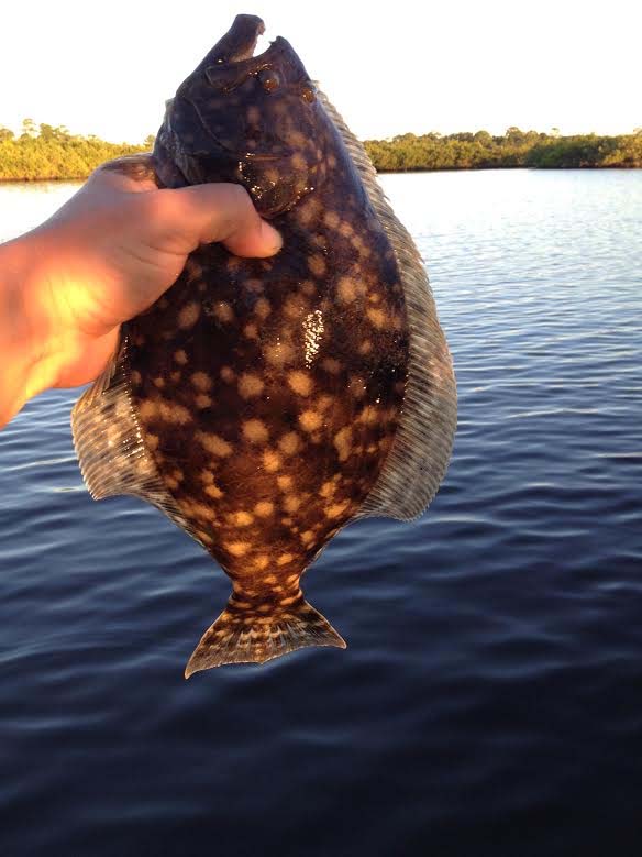flounder Fishing from Florida Shores