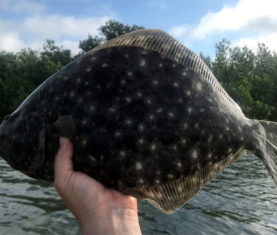 New Flounder Rules in Florida