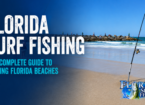 Florida Surf Fishing