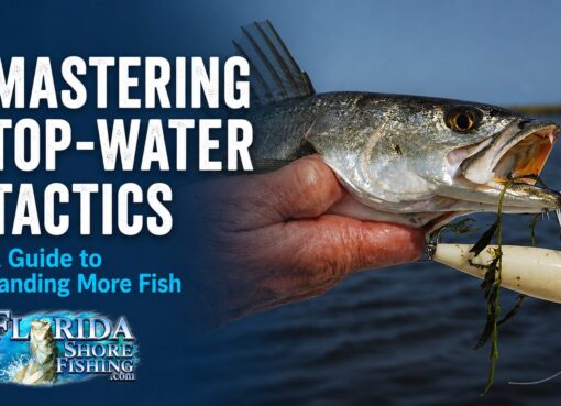 Mastering Top-Water tactics