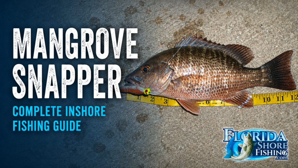 Mangrove Snapper Fishing in Florida | Florida Shore Fishing Mangrove Snapper Fishing in Florida