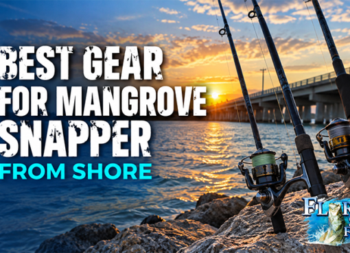 Best Gear for Mangrove Snapper from Shore