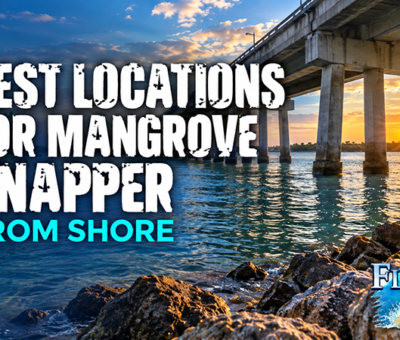 Mangrove Snapper Locations in Florida