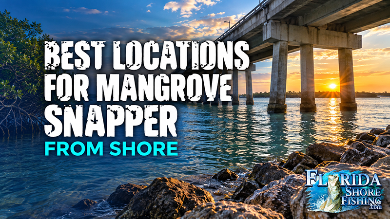 Mangrove Snapper Locations in Florida | Florida Shore Fishing Mangrove Snapper Locations in Florida