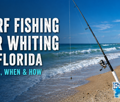 Surf Fishing for Whiting