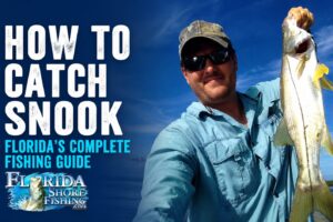 How to Catch Snook from Florida Shores