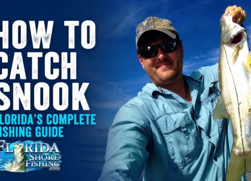 How to Catch Snook from Florida Shores