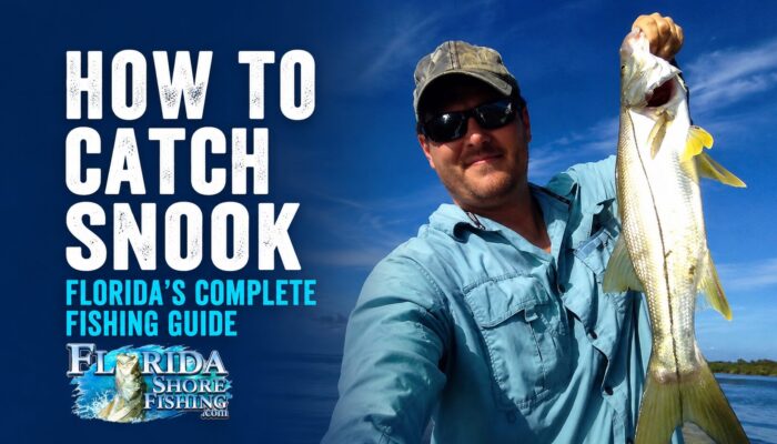 How to Catch Snook from Florida Shores