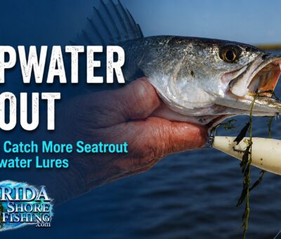 How to catch trout on topwater lures