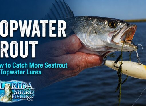 How to catch trout on topwater lures