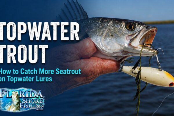 How to catch trout on topwater lures
