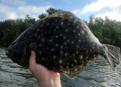 New Flounder Rules in Florida