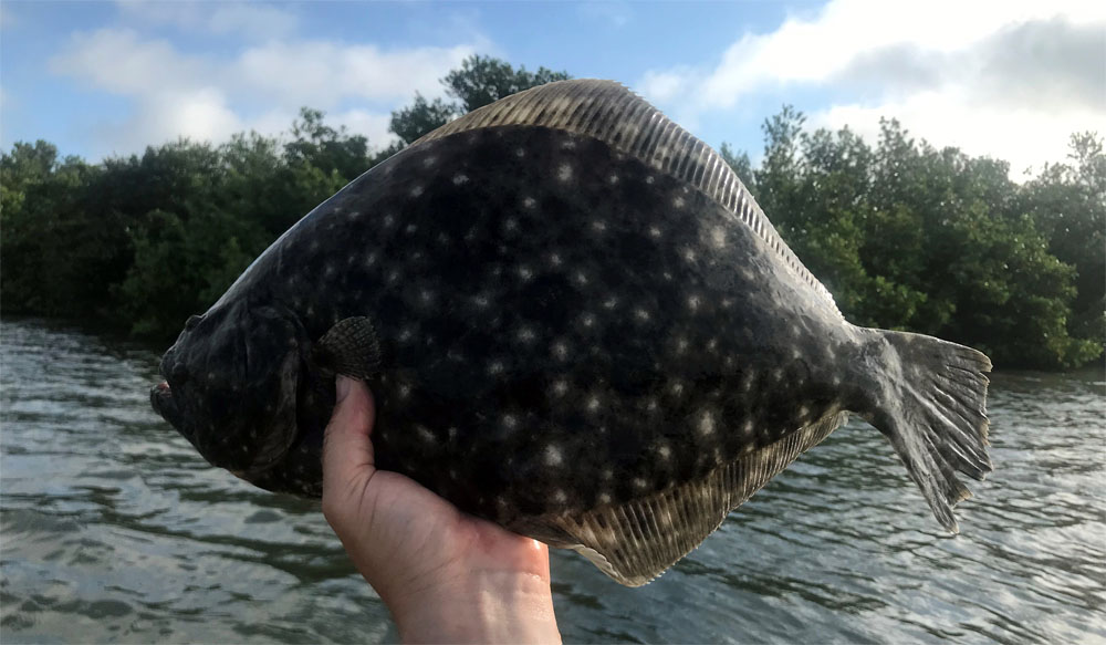 New Flounder Rules in Florida