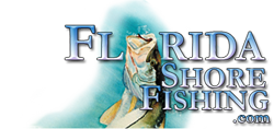 Fishing from Florida Shores