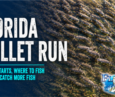Florida Mullet Run