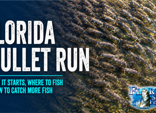 Florida Mullet Run