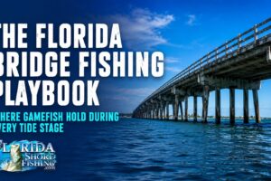 Fishing from Florida Bridges