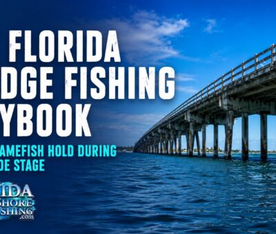 Fishing from Florida Bridges