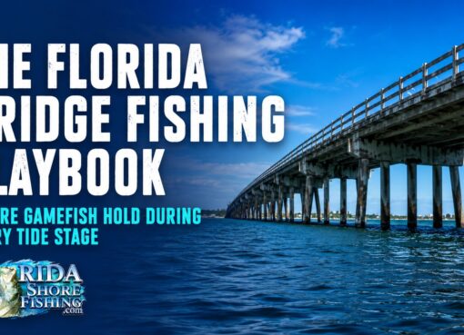 Fishing from Florida Bridges