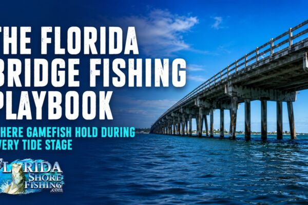 Fishing from Florida Bridges