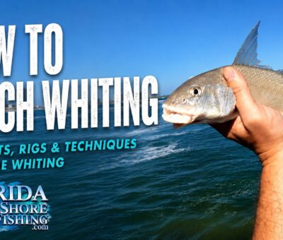 How to Catch Whiting in Florida