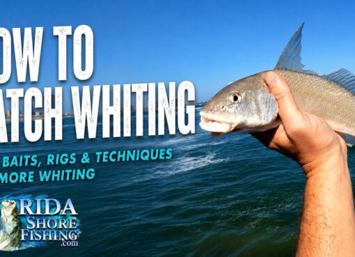 How to Catch Whiting in Florida