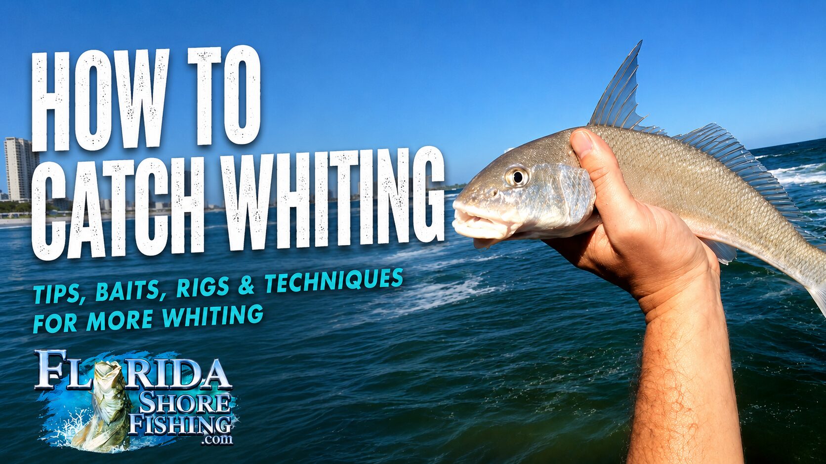How to Catch Whiting in Florida