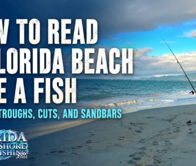 How to Read A Florida Beach Like A Fish
