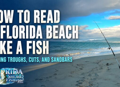 How to Read A Florida Beach Like A Fish
