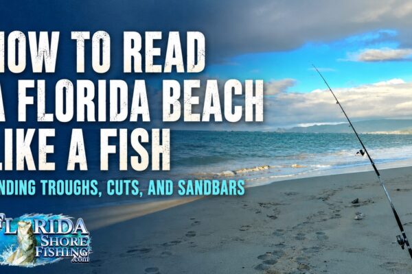 How to Read A Florida Beach Like A Fish