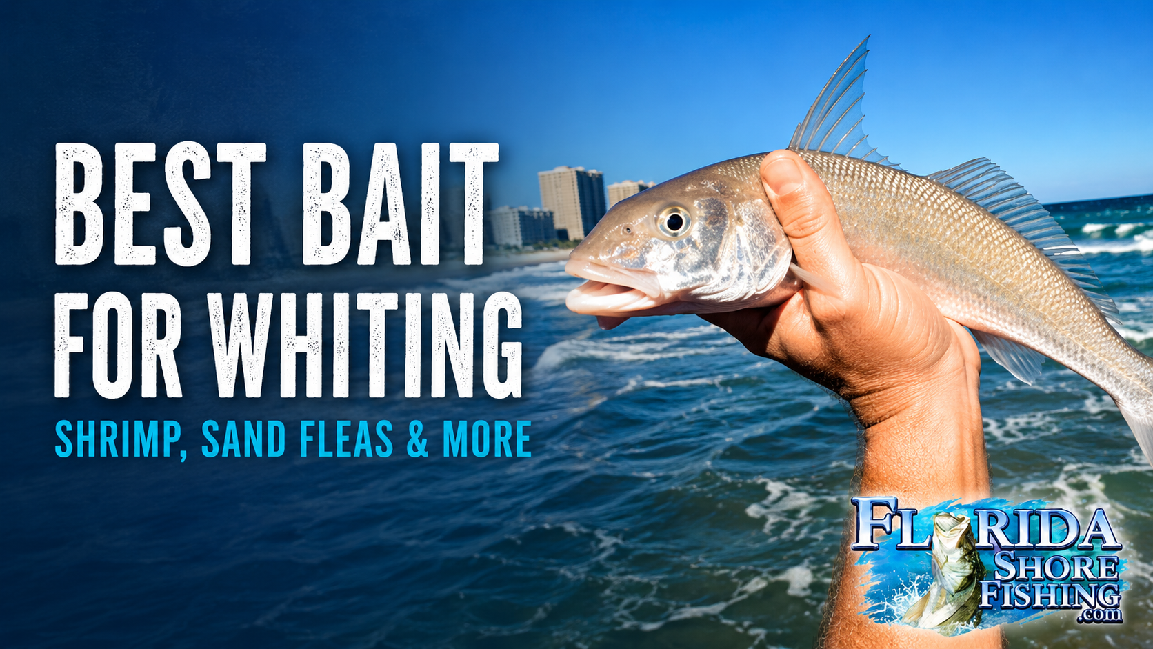 Best Bait for Whiting | Florida Shore Fishing Best Bait for Whiting