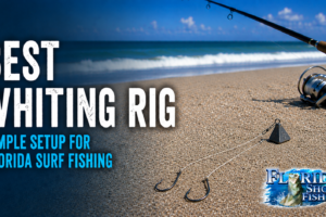 Best Rigs for Whiting in Florida