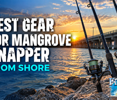 Best Gear for Mangrove Snapper from Shore