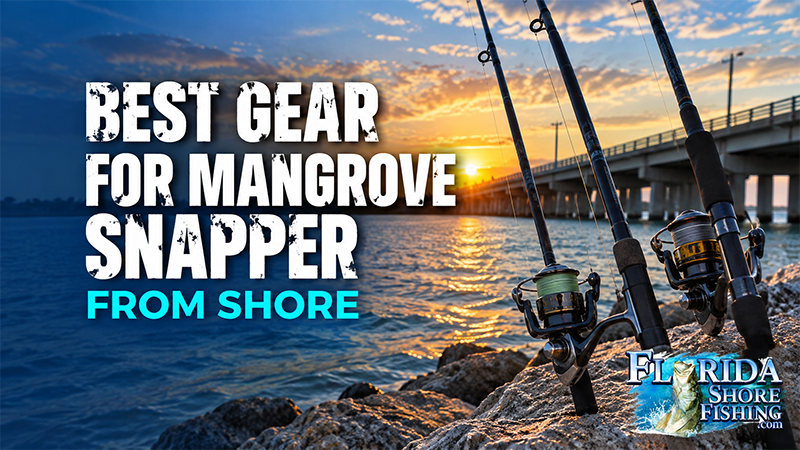 Best Gear for Mangrove Snapper from Shore | Florida Shore Fishing Best Gear for Mangrove Snapper from Shore