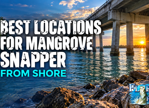 Mangrove Snapper Locations in Florida